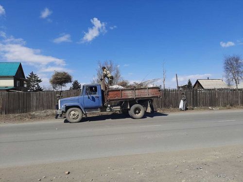ДАЧАЛАРГА КАМГАЛАНЫР, АЖЫЛДААР, ДЫШТАНЫР