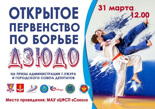 Дзюдо баннер