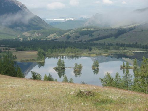 Правительство Тувы досрочно отменило особый противопожарный режим в лесах