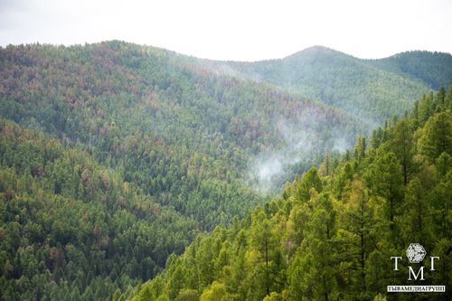 Все лесные пожары, действующие в Тандинском, Каа-Хемском и Кызылском районах, локализованы