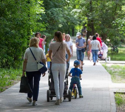 «Единая Россия» отчиталась об итогах работы за 5 лет