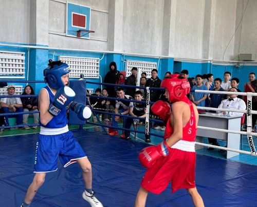 Балчий Донгактың чырык адынга турскааткан бокс маргылдаазы