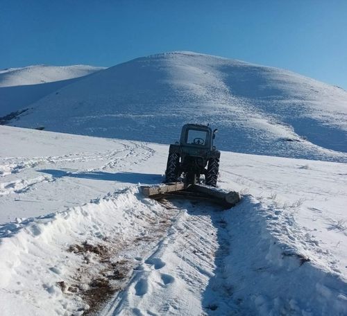 Малчын коданнарже чедер оруктарны аштап турар