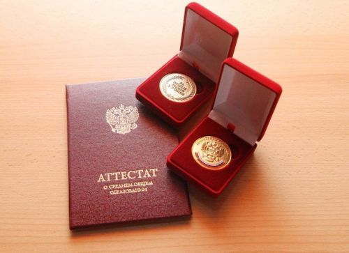 Алдын медаль-биле школа доосканнарның саны ийи катап көвүдээн