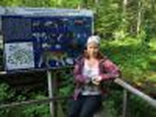 В гостях у амурского тигра