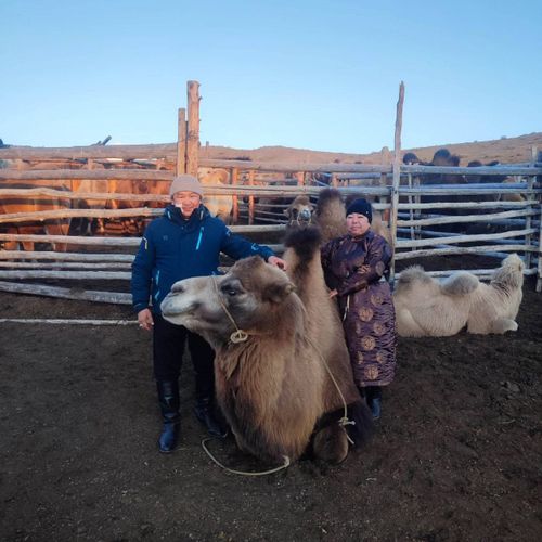 В Эрзинском районе провели фестиваль «Верблюд – корабль пустыни»