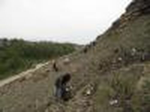 Субботник с историческим подтекстом