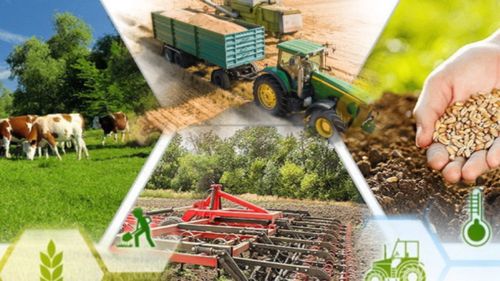 НСА и Минсельхоз Республики Тыва провели для аграриев региона семинар по агрострахованию