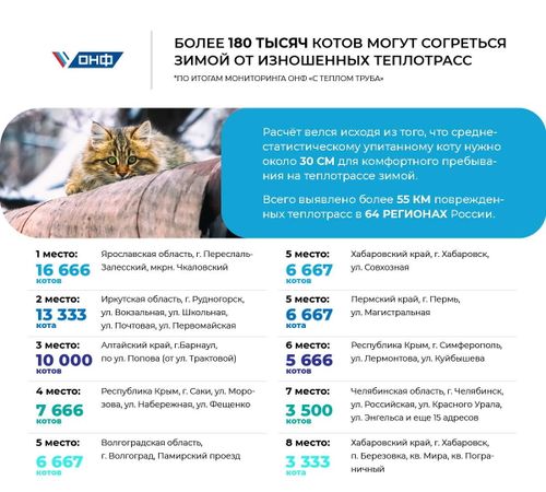 Более 180 тыс. котов могут согреться зимой от изношенных теплотрасс, выявленных ОНФ