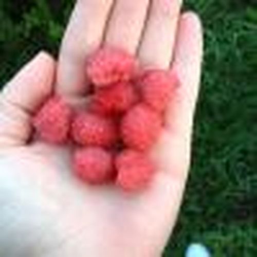 Мы учим ребенка жить