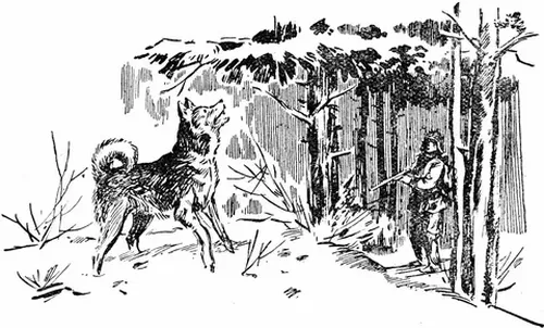 Оглум-биле дииңнээнивис