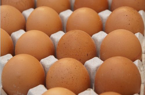 ФАС России проанализирует ценообразование на куриные яйца