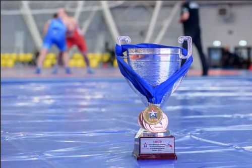 Всеармейские соревнования по спортивной борьбе на Кубок министра обороны Российской Федерации пройдут 20-22 октября