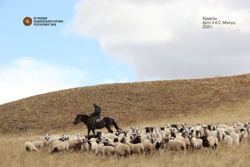 Хураган, дөтпе, хөвээ, хенче, тогду…