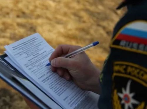 Житель Тувы осужден за уничтожение 494 га леса