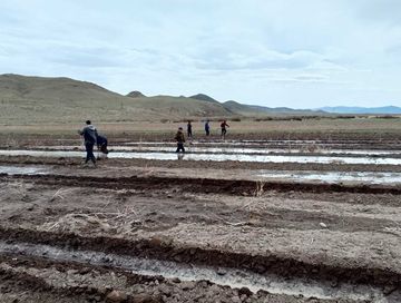 Аграрии Дзун-Хемчикского района приступают к весенне-полевым работам