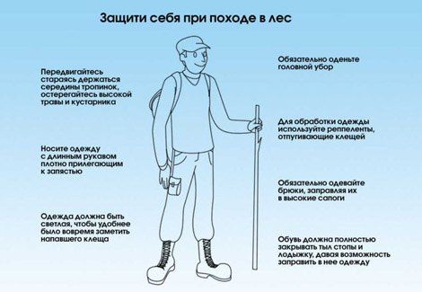 Таежный клещ опасен тем что. Таежный клещ опасен тем что фото. картинка Таежный клещ опасен тем что. смотреть фото Таежный клещ опасен тем что. смотреть картинку Таежный клещ опасен тем что.