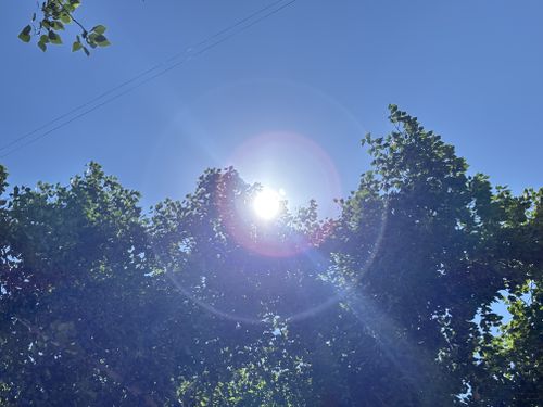 Как уберечь себя от жары? Советы врача-невролога