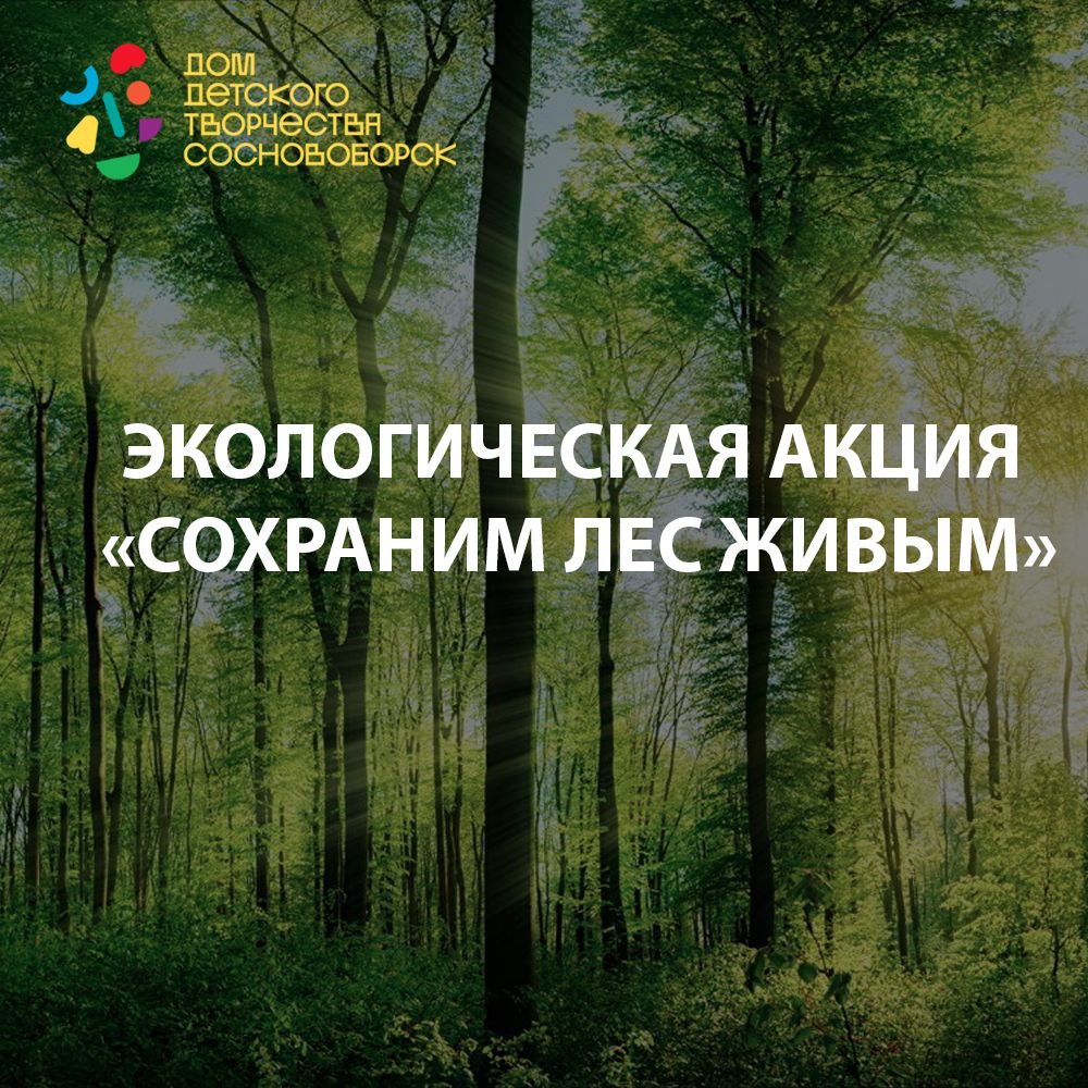 В Доме детского творчества Сосновоборска стартовала экологическая акция  «Сохраним лес живым» | 24.10.2022 | Сосновоборск - БезФормата