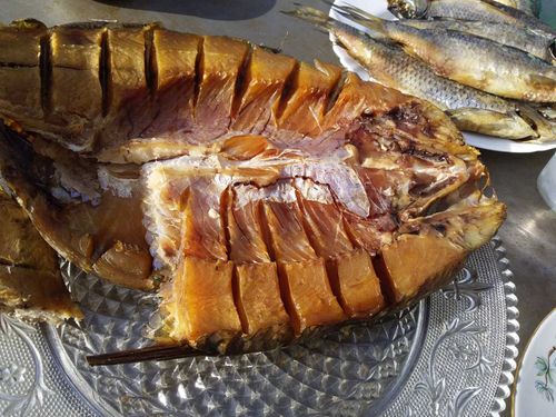 Шагонарская рыбка. От хобби к бизнесу