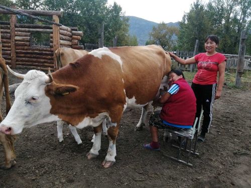 В селе Ийме строят домашние мини-фермы