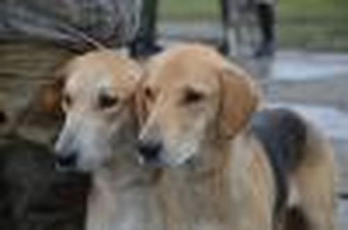 Иван Васильевич меняет профессию