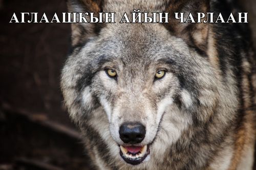 Аглаашкын айын чарлаан.