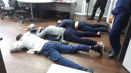 Граждане Киргизии и Сирии хотели откупиться от наказания за перевозку 146 голубей из Тувы 