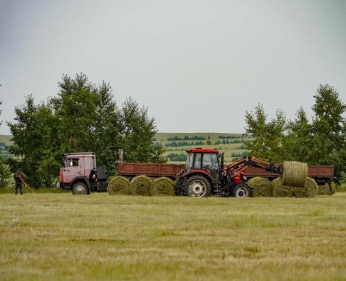 Минсельхоз: «Кормозаготовка в Туве набрала хороший темп»
