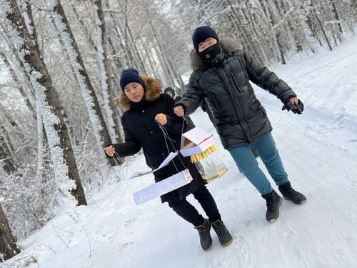 В Национальном парке культуры и отдыха в Кызыле появились новые экологические кормушки для птиц