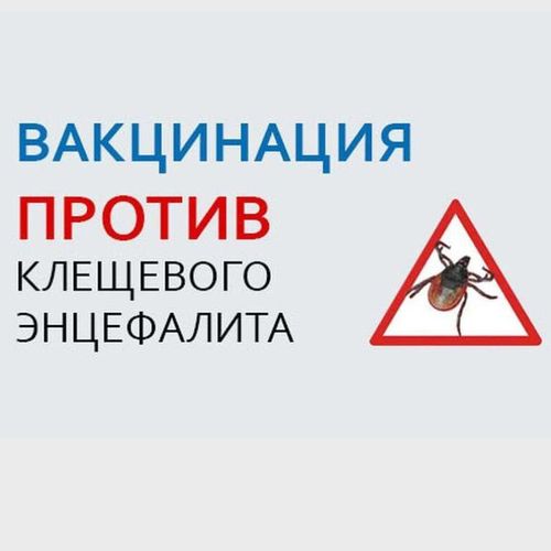 Осторожно – клещи: В Туве за неделю 36 человек пожаловались на укусы клещей