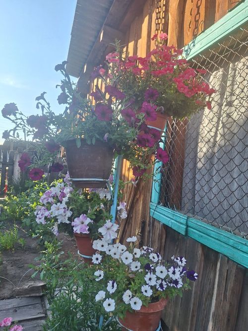 Цветочный магистр библиотеки