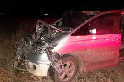 Два человека погибли после столкновения с лошадью