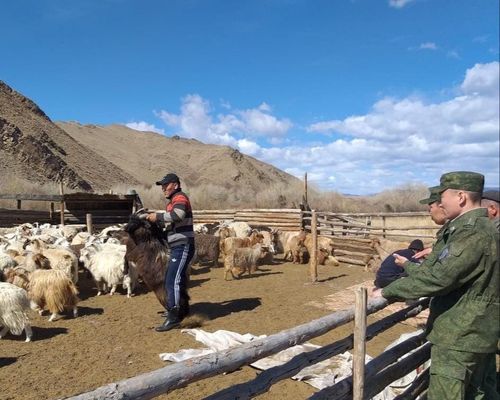 Мал ажыл-агыйларының ажыл-иш чорудар эргезин казып болур