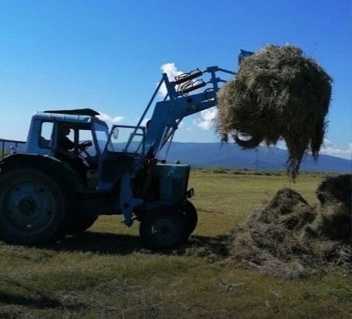 Аржаан сумуда