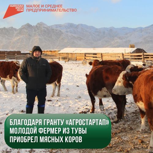 Бода малды өстүрер дээш …