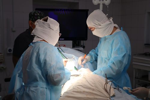 Всемирный день борьбы против рака: достижения Тувы в борьбе с онкологией