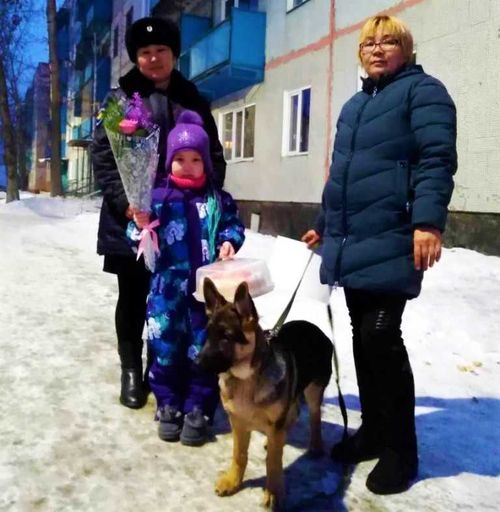 В Туве 6-летний ребенок помог найти похитителя собак
