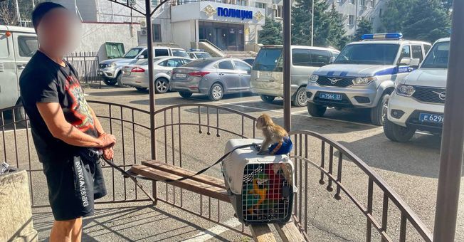 Жителя Геленджика оштрафовали за организацию фотосессий с попугаями и обезьяной