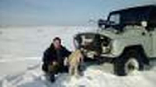 Овцу — за волка