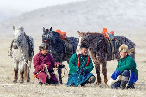 ХӨӨРЭЭРНИҢ ЧУГААЛАРЫ