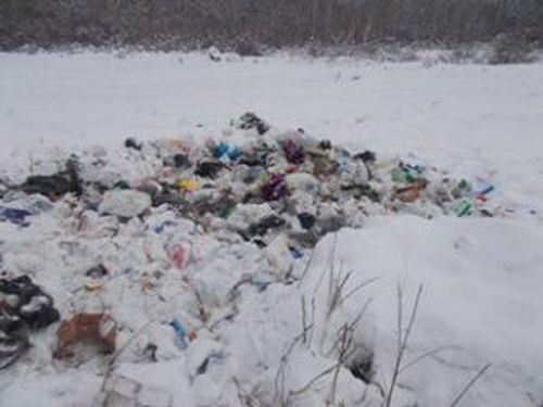 На сельскохозяйственных землях Пий-Хемского района выявлены нарушения