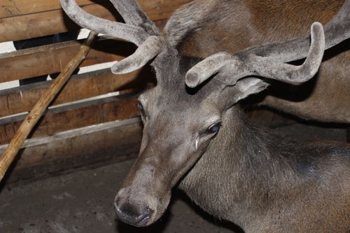 Новый путь развития!