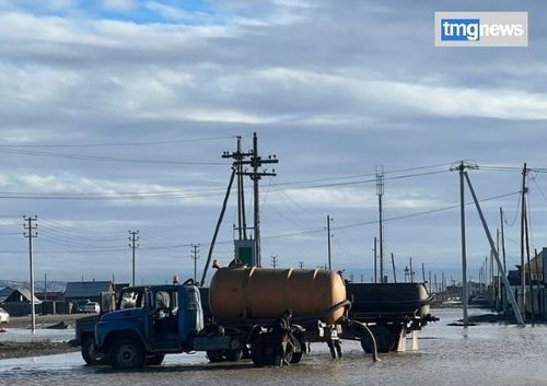 Серемчиде хорамча чок: Суг айыылы диргелип келзе…