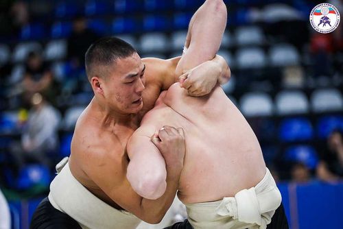 В Туве начались чемпионат и первенство России по сумо