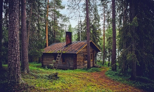 Аңчының чер ээзин басканы.