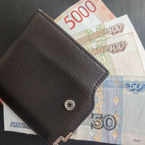 В России предложены ежемесячные выплаты домохозяйкам