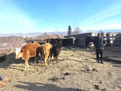 Социальный контракт помог ветерану СВО реализовать мечту о личном подсобном хозяйстве