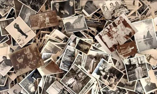 Минтруд Тувы объявил о новой акции "Древо жизни"