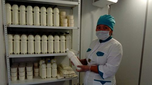 Вкусное молоко живет в Арыг-Бажы